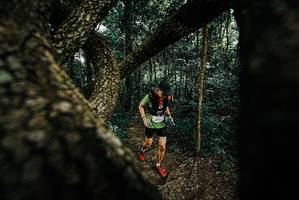 BIB: 
                            <button type="button" onclick="openModal(25666804)" class="btn btn-primary btn-sm float-right btn-popup" data-toggle="modal" data-target=".modal-high-quality">
                        <i class="fas fa-shopping-cart"></i> Add to Cart
                    </button>
                                            <button type="button" onclick="isThisMe(25666804, true)" class="btn btn-success btn-sm float-right btn-popup btn-isme hidden" data-toggle="tooltip" data-placement="bottom" title="นี่คือรูปของคุณใช่ไหม คลิกที่นี่เพื่อเอาเข้าอัลบั้ม">
                        <i class="fas fa-plus"></i> Add to album
                    </button>
                    <button type="button" onclick="isThisMe(25666804, false)" class="btn btn-warning btn-sm float-right btn-popup btn-isnotme hidden">
                        <i class="fas fa-ban"></i> Remove from album
                    </button>